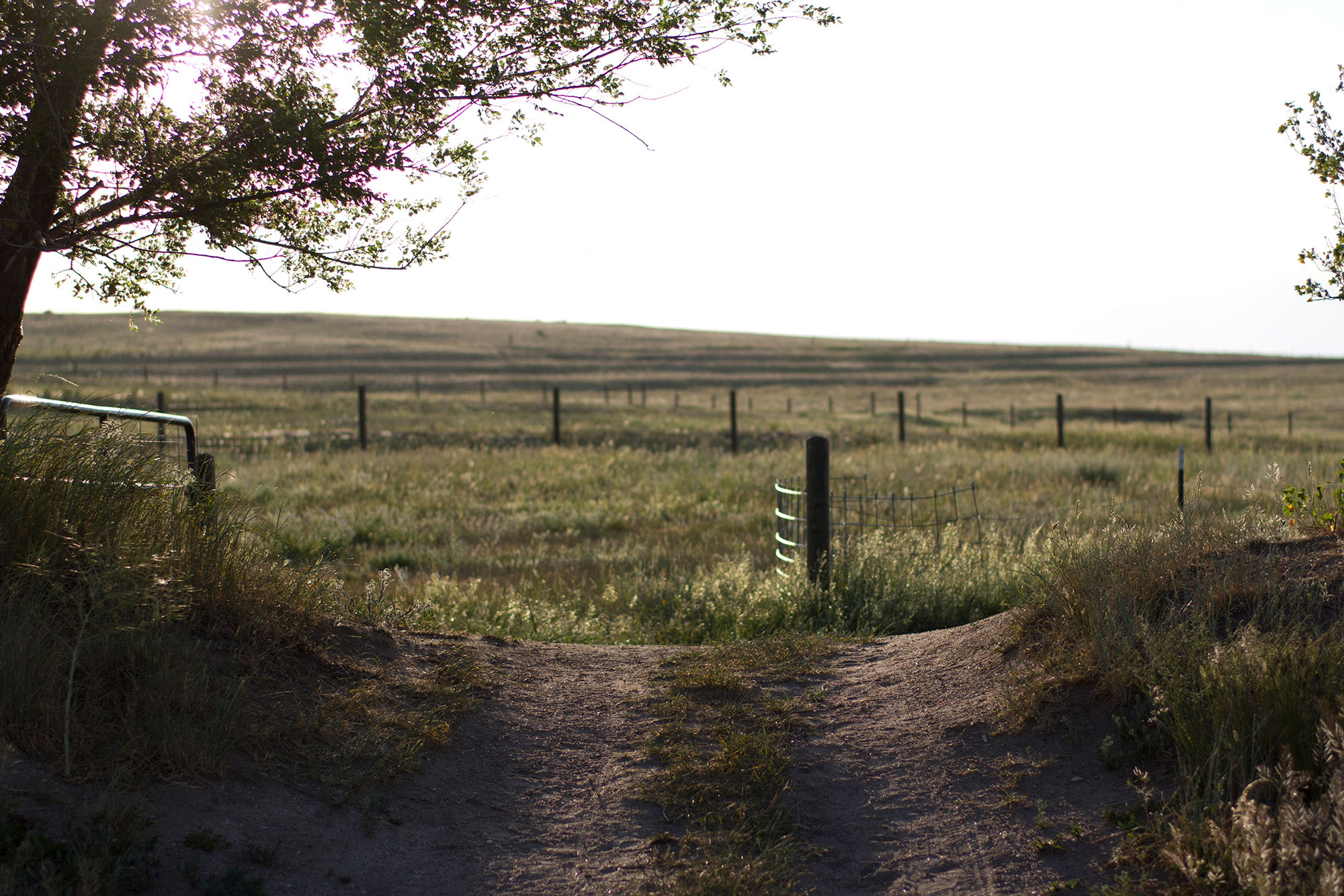 farm-pathway.jpg